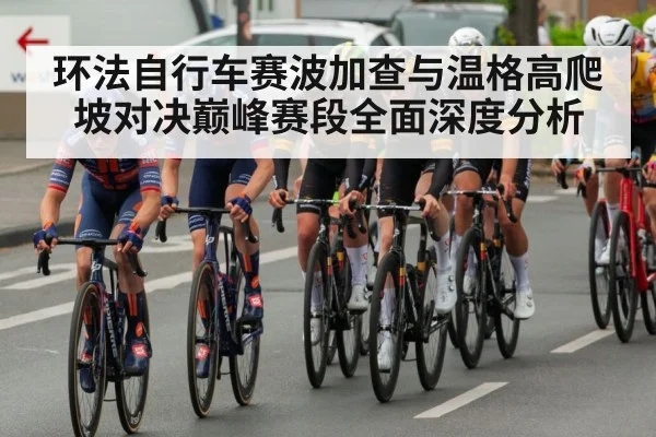 环法自行车赛波加查与温格高爬坡对决巅峰赛段全面深度分析