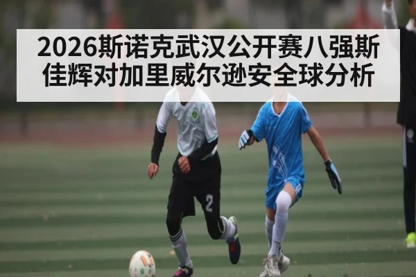 2026斯诺克武汉公开赛八强斯佳辉对加里威尔逊安全球分析